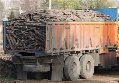 کشف بیش از 1.3 تن چوب قاچاق و زغال قاچاق در آران و بیدگل